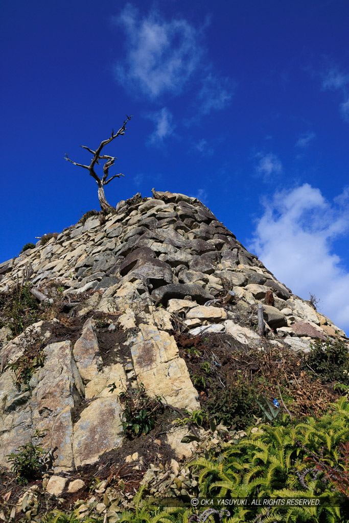 八幡山城出丸石垣南東出隅部