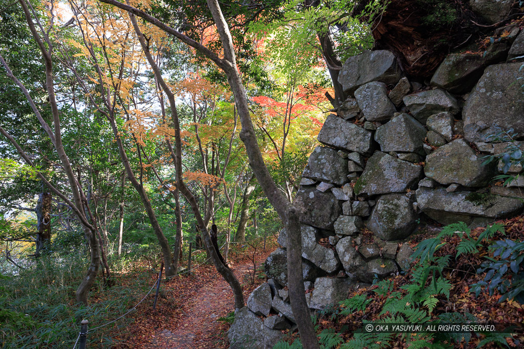 八幡山城本丸石垣東面