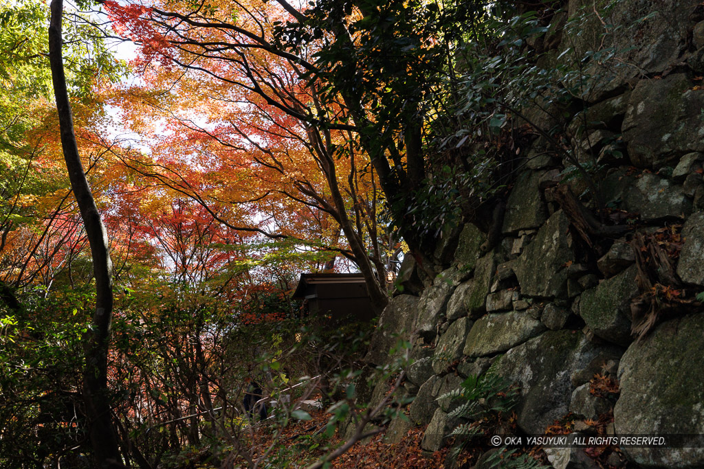 八幡山城本丸石垣東面