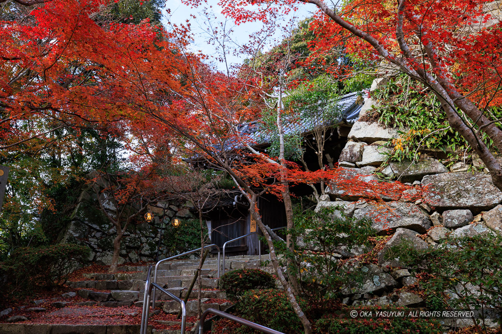 瑞龍寺山門・八幡山城の紅葉