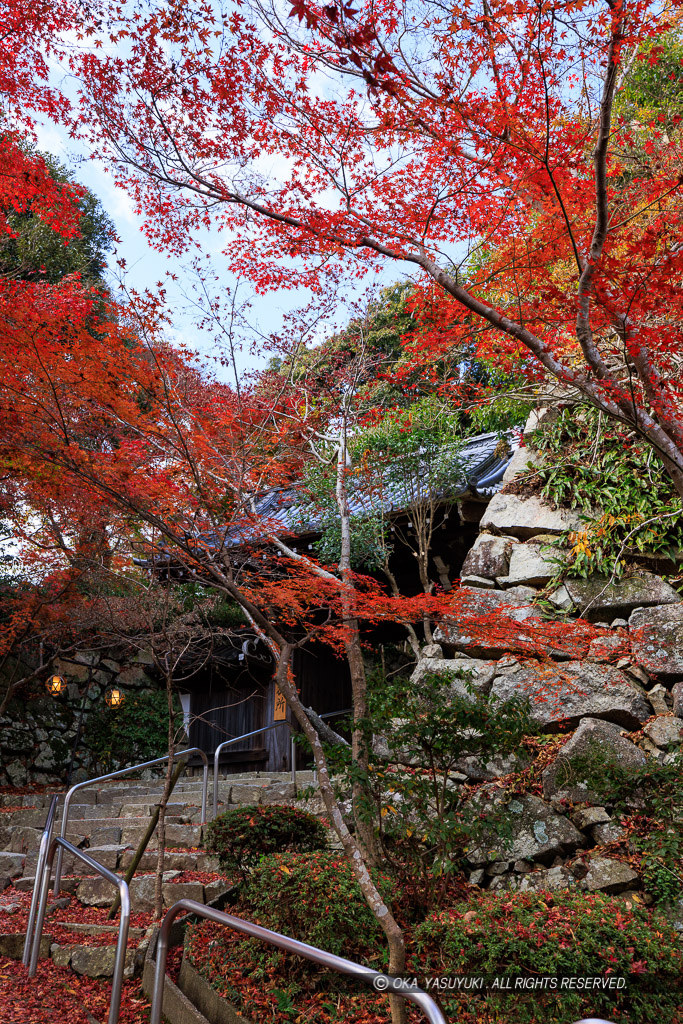 瑞龍寺山門・八幡山城の紅葉