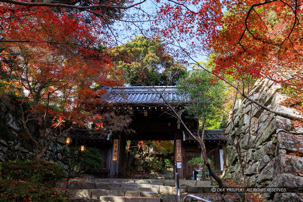 瑞龍寺山門・八幡山城の紅葉