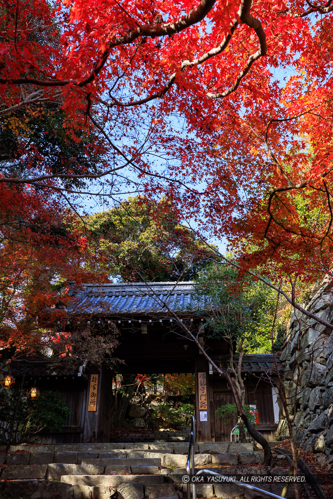 瑞龍寺山門・八幡山城の紅葉