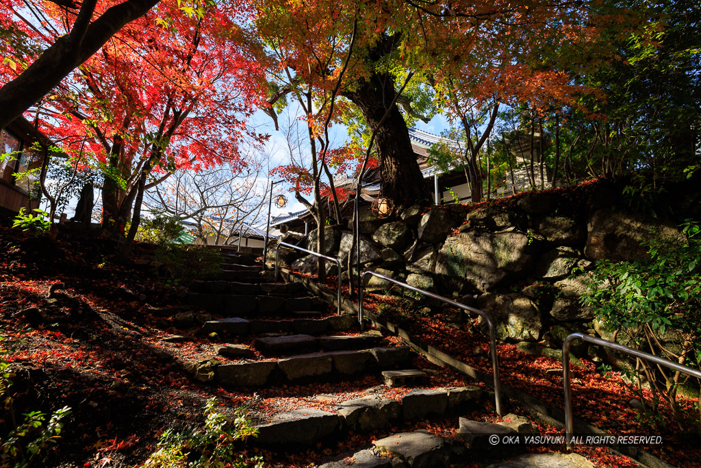 八幡山城本丸虎口