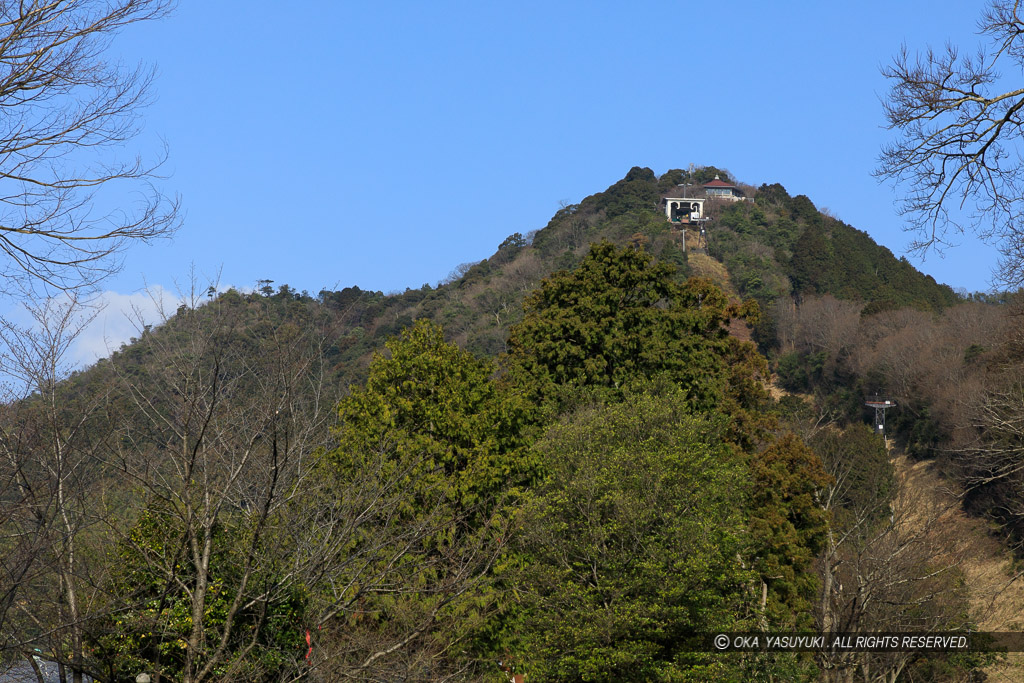 八幡山城遠景