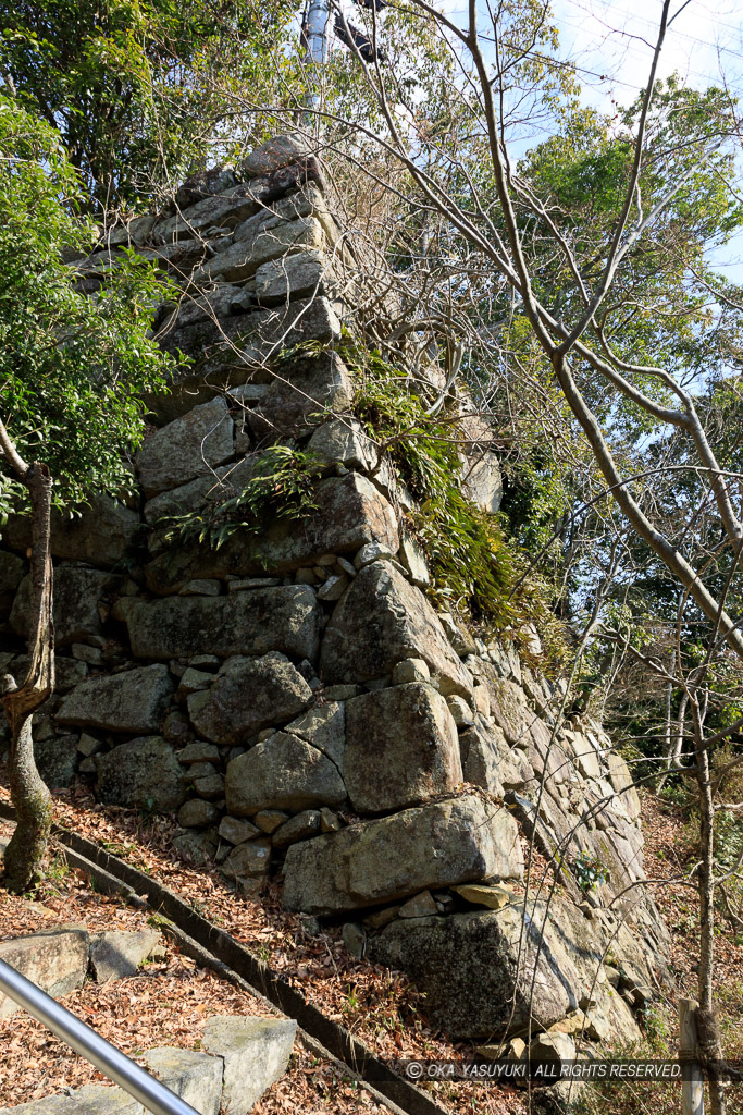 八幡山城本丸石垣