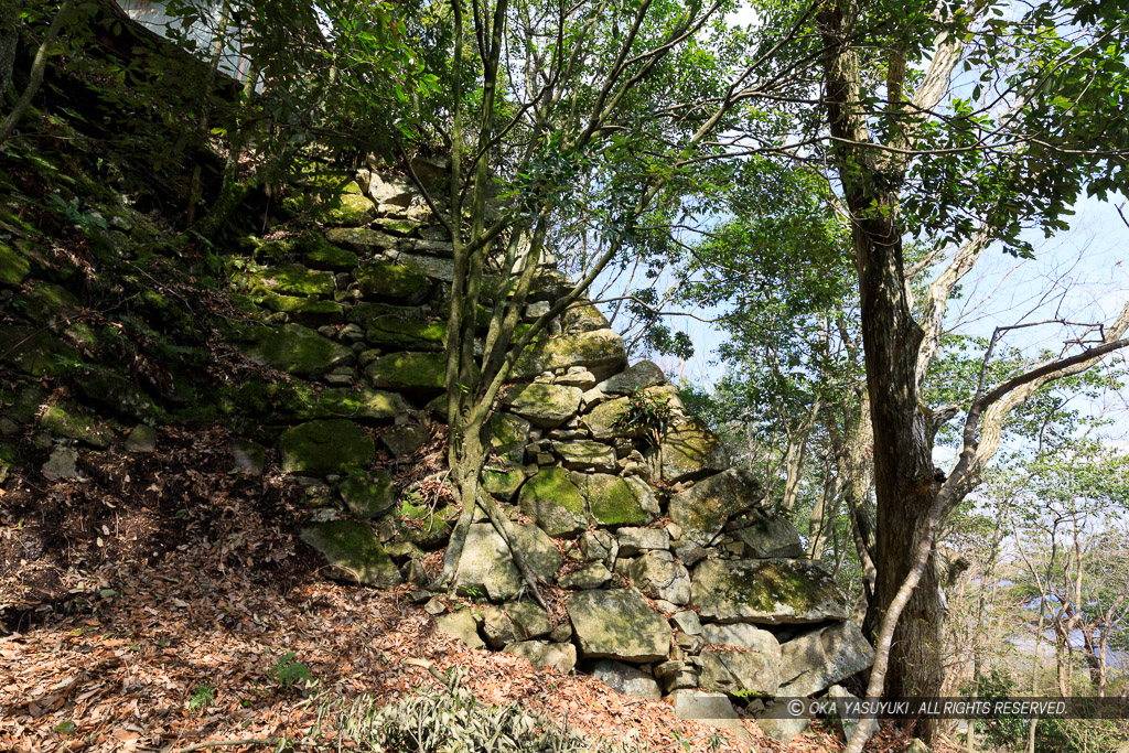 八幡山城本丸石垣東面