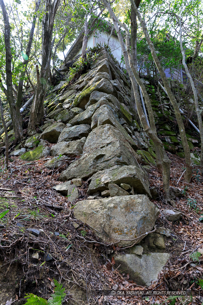 八幡山城本丸石垣北面