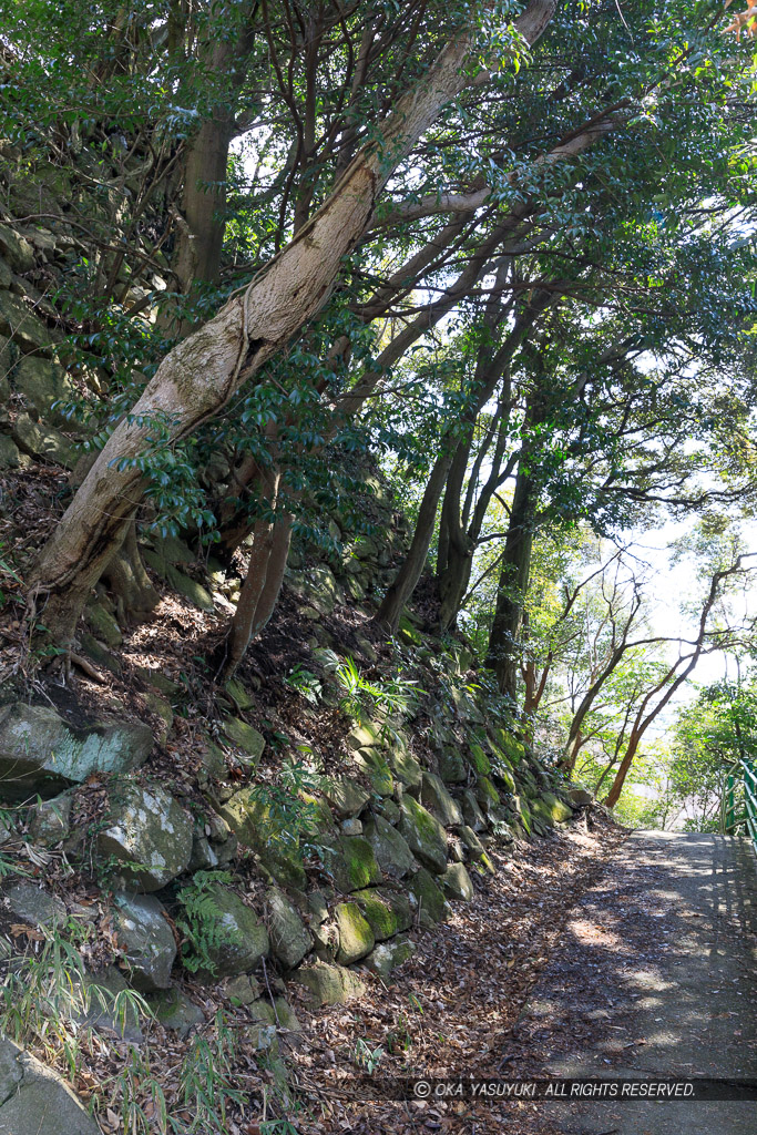 八幡山城本丸石垣西面