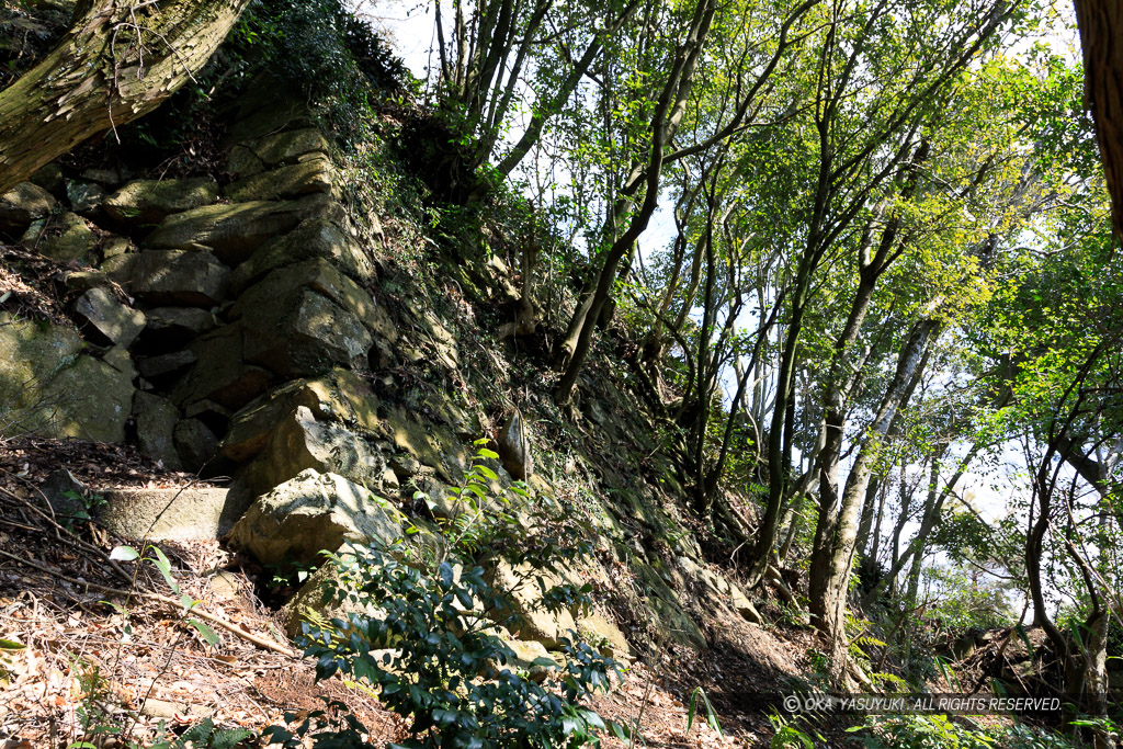 八幡山城本丸石垣