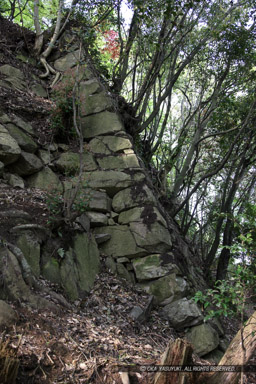 八幡山城本丸石垣｜高解像度画像サイズ：3744 x 5616 pixels｜写真番号：1P3J2570｜撮影：Canon EOS-1Ds Mark III