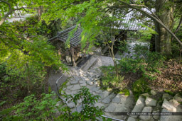 八幡山城本丸虎口跡|高解像度画像サイズ:5616 x 3744 pixels|写真番号:1P3J2606|撮影:Canon EOS-1Ds Mark III