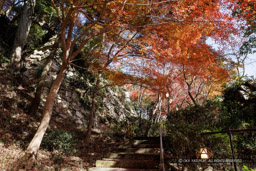 八幡山城二の丸虎口跡｜高解像度画像サイズ：8192 x 5464 pixels｜写真番号：344A5900｜撮影：Canon EOS R5