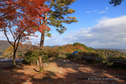 ｜高解像度画像サイズ：8192 x 5464 pixels｜写真番号：344A5920｜撮影：Canon EOS R5