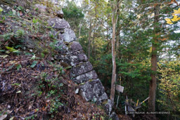 八幡山城北の丸石垣｜高解像度画像サイズ：8192 x 5464 pixels｜写真番号：344A5925｜撮影：Canon EOS R5