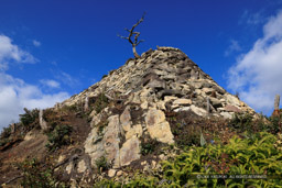 八幡山城出丸石垣南東出隅部|高解像度画像サイズ:8192 x 5464 pixels|写真番号:344A6005|撮影:Canon EOS R5