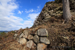 八幡山城西の丸石垣｜高解像度画像サイズ：8192 x 5464 pixels｜写真番号：344A6037｜撮影：Canon EOS R5