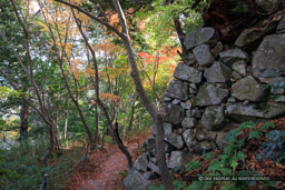 八幡山城本丸石垣東面｜高解像度画像サイズ：8192 x 5464 pixels｜写真番号：344A6051｜撮影：Canon EOS R5