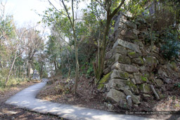 八幡山城本丸石垣西面|高解像度画像サイズ:6720 x 4480 pixels|写真番号:5D4A6396|撮影:Canon EOS 5D Mark IV