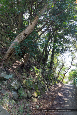 八幡山城本丸石垣西面|高解像度画像サイズ:4480 x 6720 pixels|写真番号:5D4A6427|撮影:Canon EOS 5D Mark IV