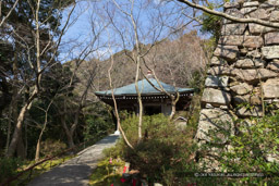 八幡山城登城路沿いにある「お願い地蔵尊」|高解像度画像サイズ:6701 x 4467 pixels|写真番号:5D4A6436|撮影:Canon EOS 5D Mark IV