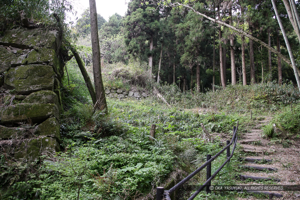 八幡山城大手道・秀次館跡石垣