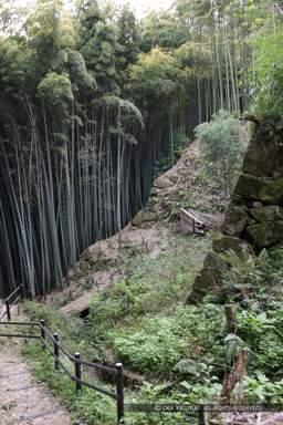 秀次館跡石垣｜高解像度画像サイズ：3744 x 5616 pixels｜写真番号：1P3J2621｜撮影：Canon EOS-1Ds Mark III