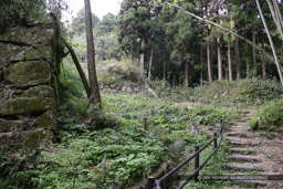 八幡山城大手道・秀次館跡石垣｜高解像度画像サイズ：5616 x 3744 pixels｜写真番号：1P3J2623｜撮影：Canon EOS-1Ds Mark III