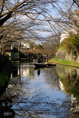 八幡堀｜高解像度画像サイズ：4310 x 6465 pixels｜写真番号：5D4A6201｜撮影：Canon EOS 5D Mark IV