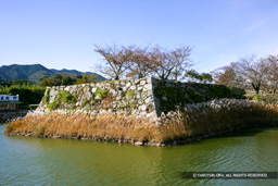 本丸石垣 | 高解像度画像サイズ:4803 x 3202 pixels | 写真番号:VJ7Z4473 | 撮影:Canon EOS-1Ds Mark II