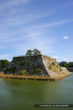 萩城天守台 | 高解像度画像サイズ:3328 x 4992 pixels | 写真番号:VJ7Z4508 | 撮影:Canon EOS-1Ds Mark II