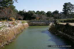 水堀 | 高解像度画像サイズ:4992 x 3328 pixels | 写真番号:VJ7Z4518 | 撮影:Canon EOS-1Ds Mark II