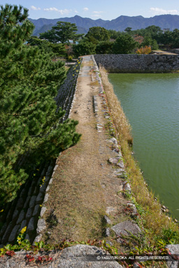 石垣と水堀 | 高解像度画像サイズ:3328 x 4992 pixels | 写真番号:VJ7Z4531 | 撮影:Canon EOS-1Ds Mark II