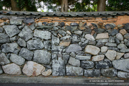 城下町の風景 | 高解像度画像サイズ：4992 x 3328 pixels | 写真番号：VJ7Z4619 | 撮影：Canon EOS-1Ds Mark II