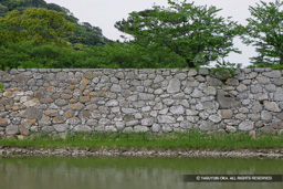 | 高解像度画像サイズ:4898 x 3266 pixels | 写真番号:VJ7Z6583 | 撮影:Canon EOS-1Ds Mark II