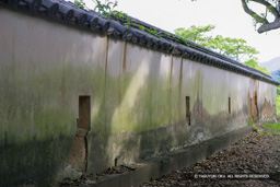 土塀 | 高解像度画像サイズ:4563 x 3042 pixels | 写真番号:VJ7Z6643 | 撮影:Canon EOS-1Ds Mark II