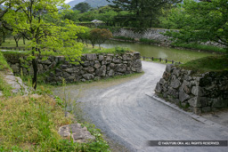 虎口 | 高解像度画像サイズ:4992 x 3328 pixels | 写真番号:VJ7Z6651 | 撮影:Canon EOS-1Ds Mark II