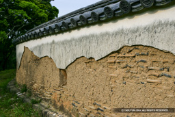 土塀 | 高解像度画像サイズ:4992 x 3328 pixels | 写真番号:VJ7Z6655 | 撮影:Canon EOS-1Ds Mark II