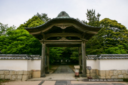 天樹院跡 | 高解像度画像サイズ:4992 x 3328 pixels | 写真番号:VJ7Z6677 | 撮影:Canon EOS-1Ds Mark II