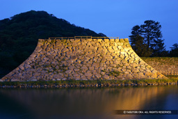 萩城天守台ライトアップ | 高解像度画像サイズ：4992 x 3328 pixels | 写真番号：VJ7Z6752 | 撮影：Canon EOS-1Ds Mark II