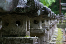 大照院・萩藩主毛利家墓所 | 高解像度画像サイズ：4992 x 3328 pixels | 写真番号：VJ7Z6775 | 撮影：Canon EOS-1Ds Mark II