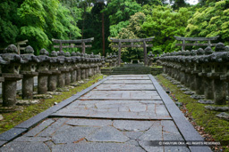 大照院・萩藩主毛利家墓所 | 高解像度画像サイズ：4659 x 3106 pixels | 写真番号：VJ7Z6776 | 撮影：Canon EOS-1Ds Mark II