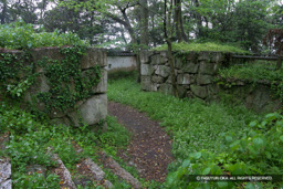 指月山詰丸跡 | 高解像度画像サイズ：4812 x 3208 pixels | 写真番号：VJ7Z6960 | 撮影：Canon EOS-1Ds Mark II