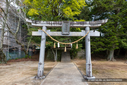 大西神社 | 高解像度画像サイズ：8192 x 5464 pixels | 写真番号：6F1A0369 | 撮影：Canon EOS R5m2