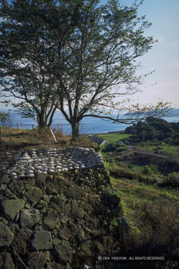 櫓台跡｜高解像度画像サイズ：1969 x 2954 pixels｜写真番号：IMG0099｜撮影：