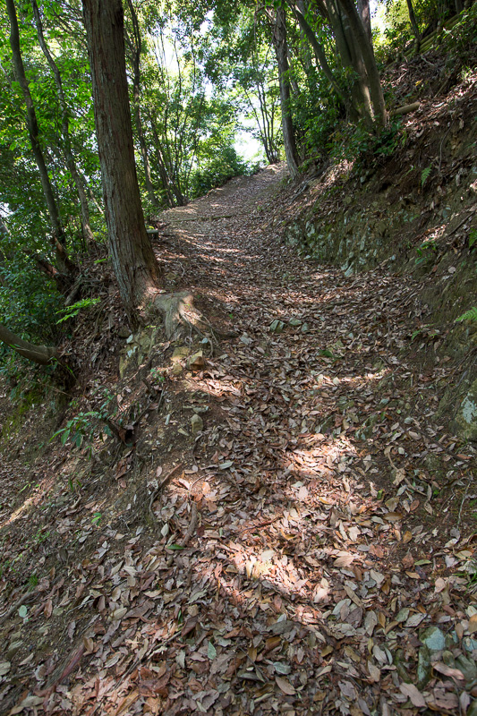 登山道