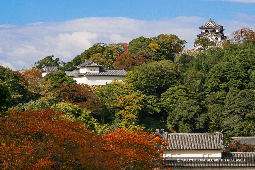 佐和口多聞櫓・天秤櫓・天守を望む・秋