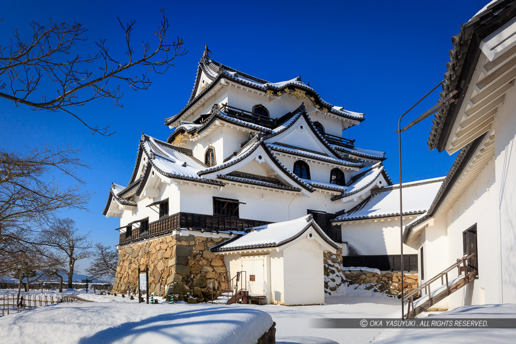 彦根城天守と雪