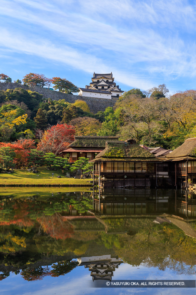 玄宮園から彦根城天守を望む：秋（紅葉）