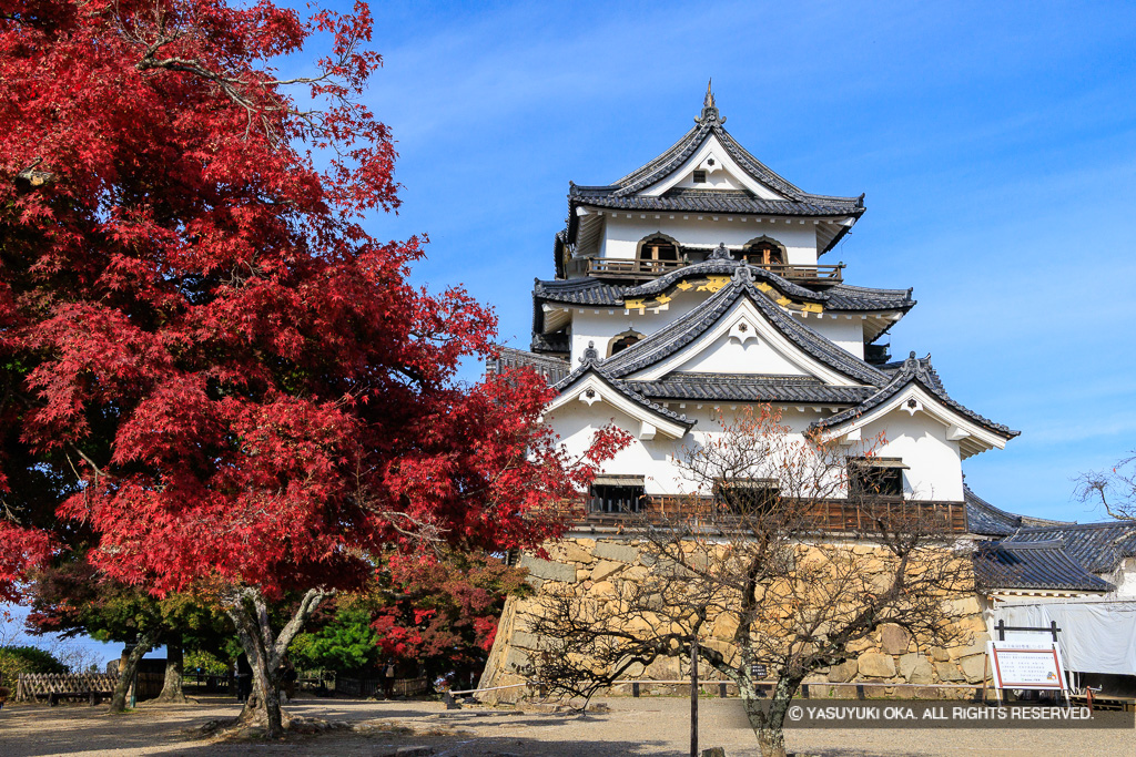 秋の彦根城天守・紅葉